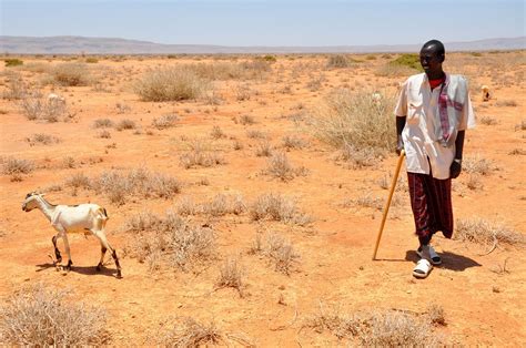 17 June Is World Day To Combat Desertification And Drought Lifegate