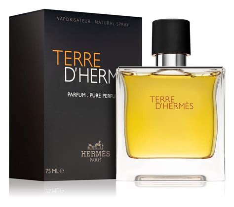 HERMES TERRE D HERMES TESTER / 100ml / Muški | Parfemi Original