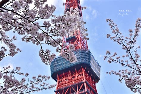 【東京賞櫻攻略】東京賞櫻行程規劃9選！2020櫻花期預測，秘境一日遊推薦 周花花，甲飽沒