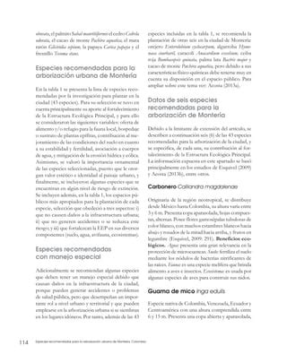 Dialnet Especiesrecomendadasparalaarborizacionurbanademont Pdf