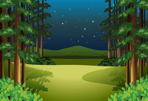 Un Paisaje De Bosque Por La Noche 298250 Vector En Vecteezy