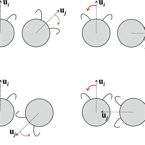 A Schematic Of The Encounter Between Two Chlamydomonas Their Current