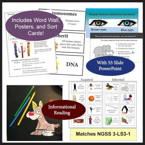 Genetics And Heredity Unit Made By Teachers