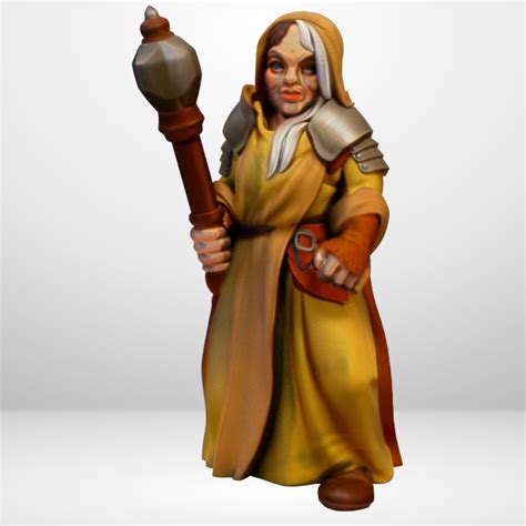 Hot Goblin 聖職者女性ミニチュア ホットゴブリン TRPG 信仰の戦士