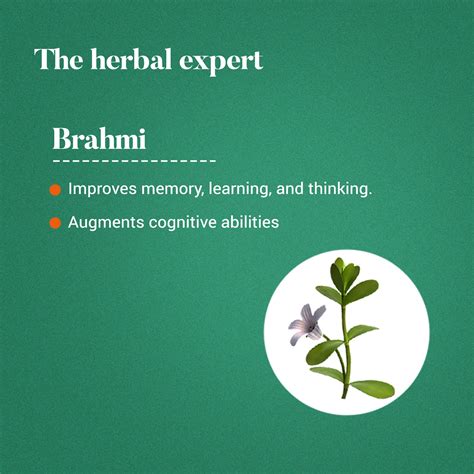 Himalaya Brahmi - Improves Alertness – Himalaya Wellness (India)