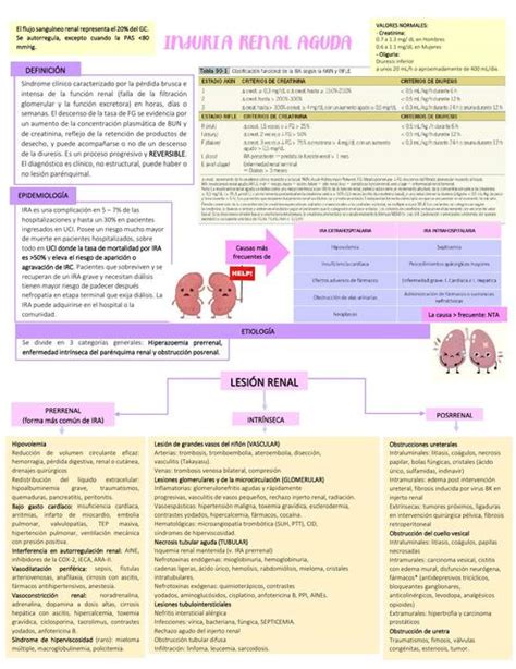 Insuficiencia Renal Aguda Abigail Menor Iba Ez Udocz