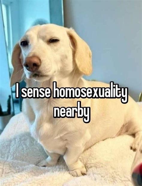 Whenever Im Around My Gay Apostles R Queerbible