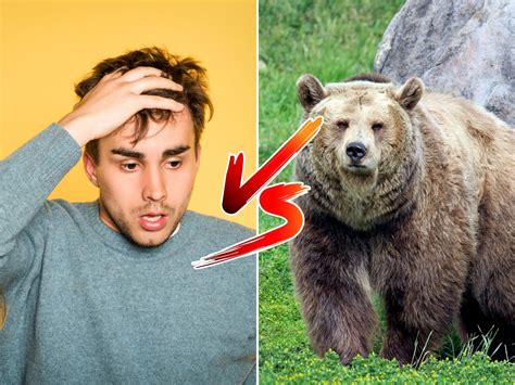 man  bear question  tiktok proves  men  missing  point