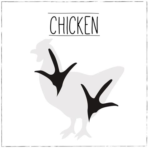 Chicken Tracks Dirt Over 1 Royalty Free Licensable Stock Vectors