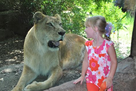 Alexandria Zoological Park | Louisiana Travel