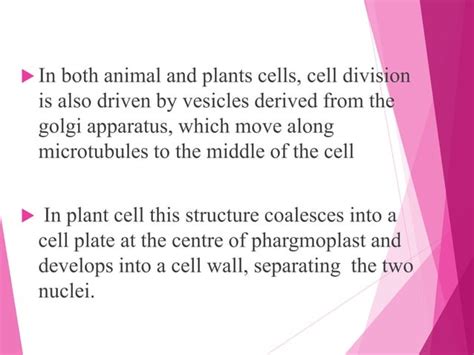 Mitotic Cell Division Ppt