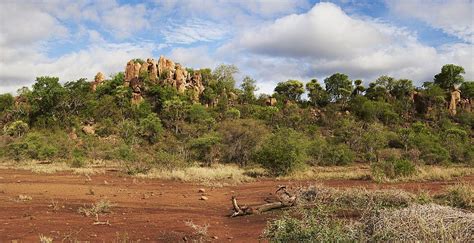 Kruger National Park Hd Wallpaper Pxfuel