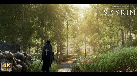 K Next Gen Dense Forest I Skyrim Se Ultra Modded I Showcase And