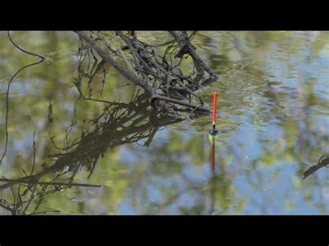 РЫБАЛКА НА ДОНКУ И НА УДОЧКУ! Начали с ОКИ а закончили НА ОЗЕРЕ! - YouTube