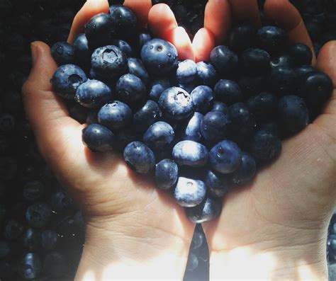 simple ways  boost  immune system