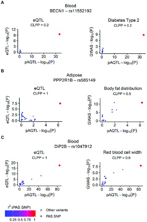 Colocalization Of Pa Qtl Eqtl And Gwas Signals Examples Of Pas