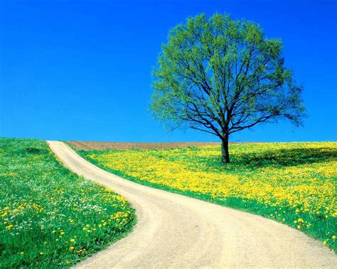 Blue Sky Nature Wallpapers - 4k, HD Backgrounds on WallpaperBat