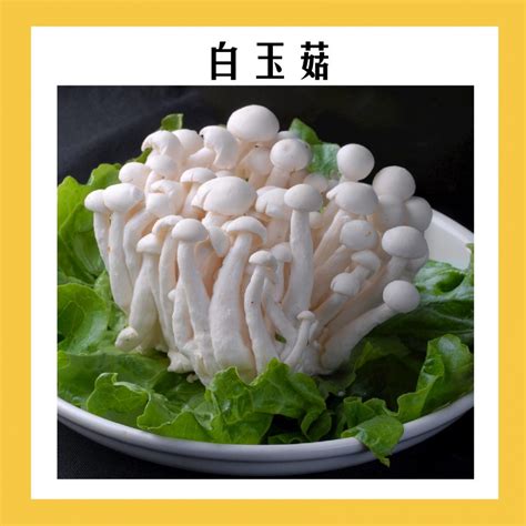 拜见菇菇，你分得清你吃过的菇吗？（下） 食尚 · Foodsion