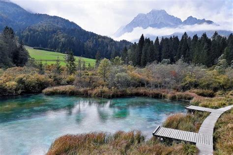 Your Guide To The Beautiful Zelenci Nature Reserve, Slovenia – Craving Adventure