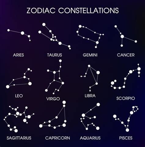 Las Constelaciones Zodiacales Vector En Vecteezy