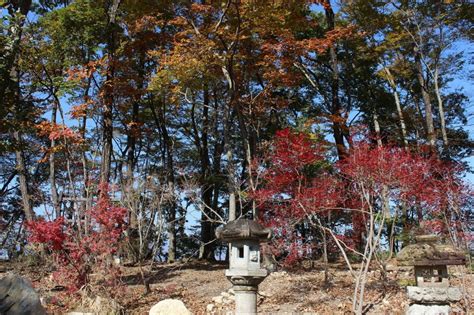 小結寺の秋景色 座禅スタジオ「小結寺」