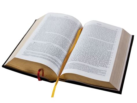 open bible PNG