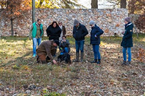 The truffle and its host, the oak tree - Tellerrand-Stories in English