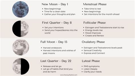 Moon Phases And Your Menstrual Cycle — The Onyx Feather In 2021