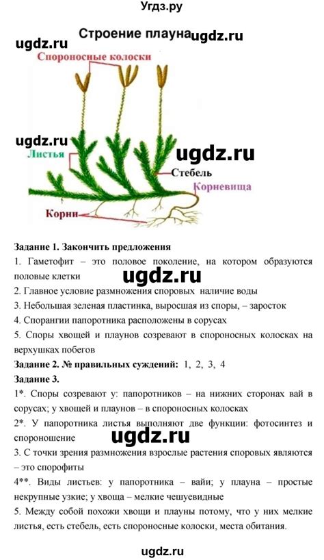 Решение лабораторная работа №14 по Биологии тетрадь для лабораторных ...