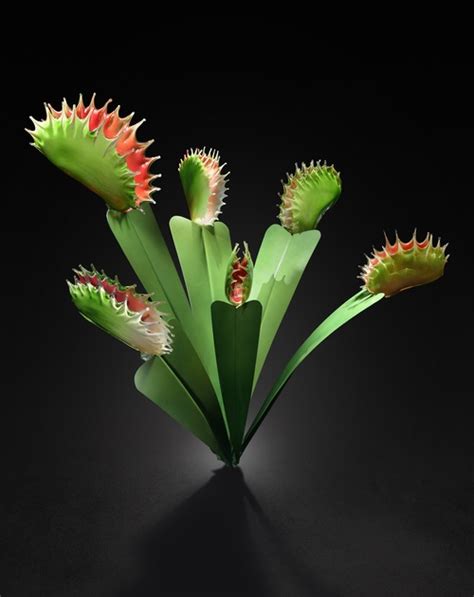 Джейсон Гамрат (Jason Gamrath) – стеклодув из Сиэтла