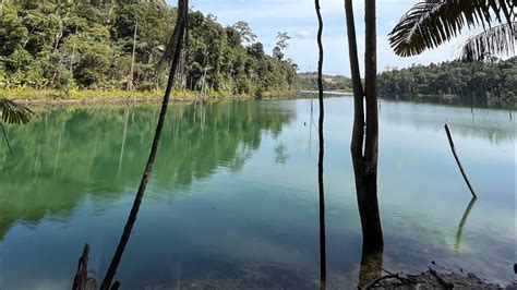 Shah Alam Community Forest Tasik Cerminbukit Sapu Tangan Youtube