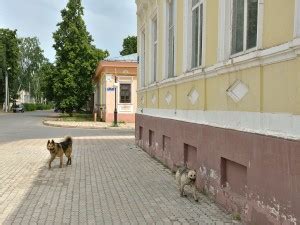 Елабуга - Фотографии русских городов