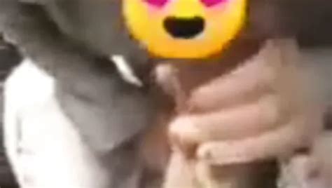 Elif Erkan Free Free Hd Porn Video D Xhamster Xhamster