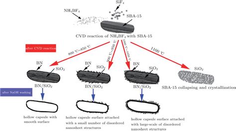 schematic diagram   formation mechanism  scientific diagram
