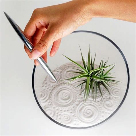 Мини сад дзен своими руками | Plant display ideas, Air plant display ...