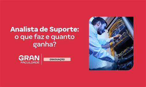 Analista de suporte: principais funções e qualificações