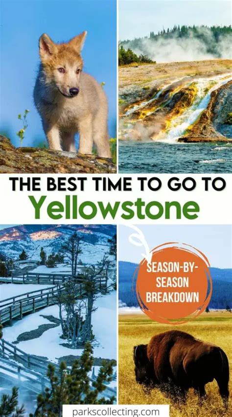 When Is The Best Time To Visit Yellowstone National Park