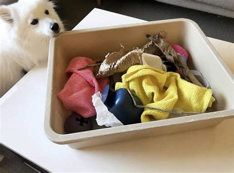 diy dog enrichment archives mind body  bowl