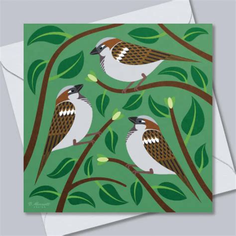 Buy Wild Bird Food And Quality Seed Mixes Online Brinvale Bird Foods