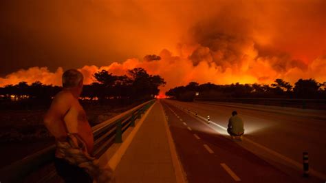 Waldbrände in Portugal Mindestens 27 Tote DER SPIEGEL