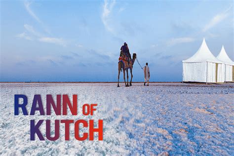 'Rann of Kutch' beauty of India's enormous white desert - The Live ...