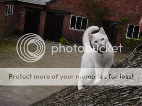 Candis Tight Ass IMGSRC RU Geraljanal