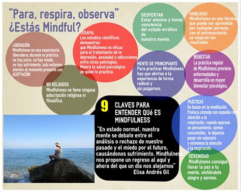 Qu Es Mindfulnessmindfulness Y Naturaleza