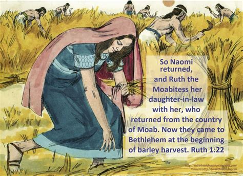 What Is The Meaning Of Ruth Chapter 3 at Karla Trent blog