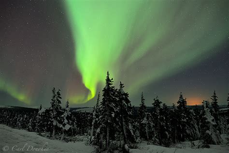 Alaska March Madness Aurora Borealis Photo