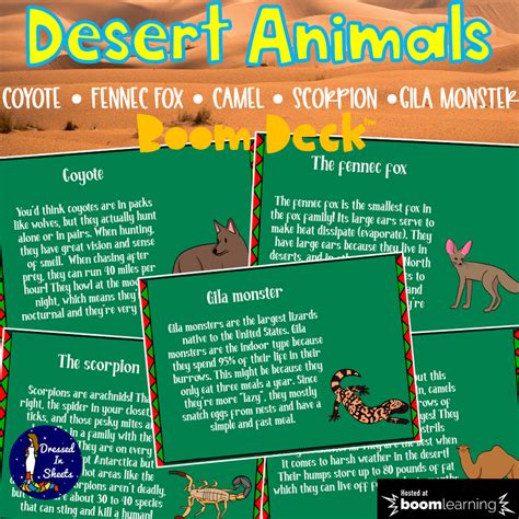 Desert Animal Facts and Quiz | Made By Teachers