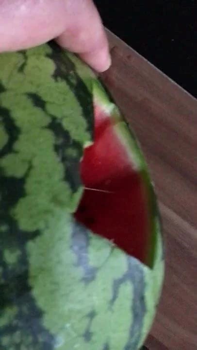 Melon Fuck Gay Man Porn XHamster