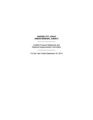 Fillable Online Audited Financial Statements And Required Supplementary