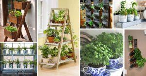 creative herb garden ideas  indoors  outdoors