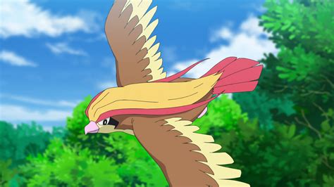 Ash's Pidgeot | Pokémon Wiki | Fandom